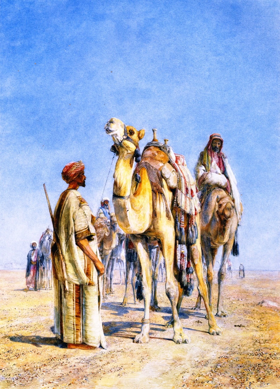 Fermati nel deserto